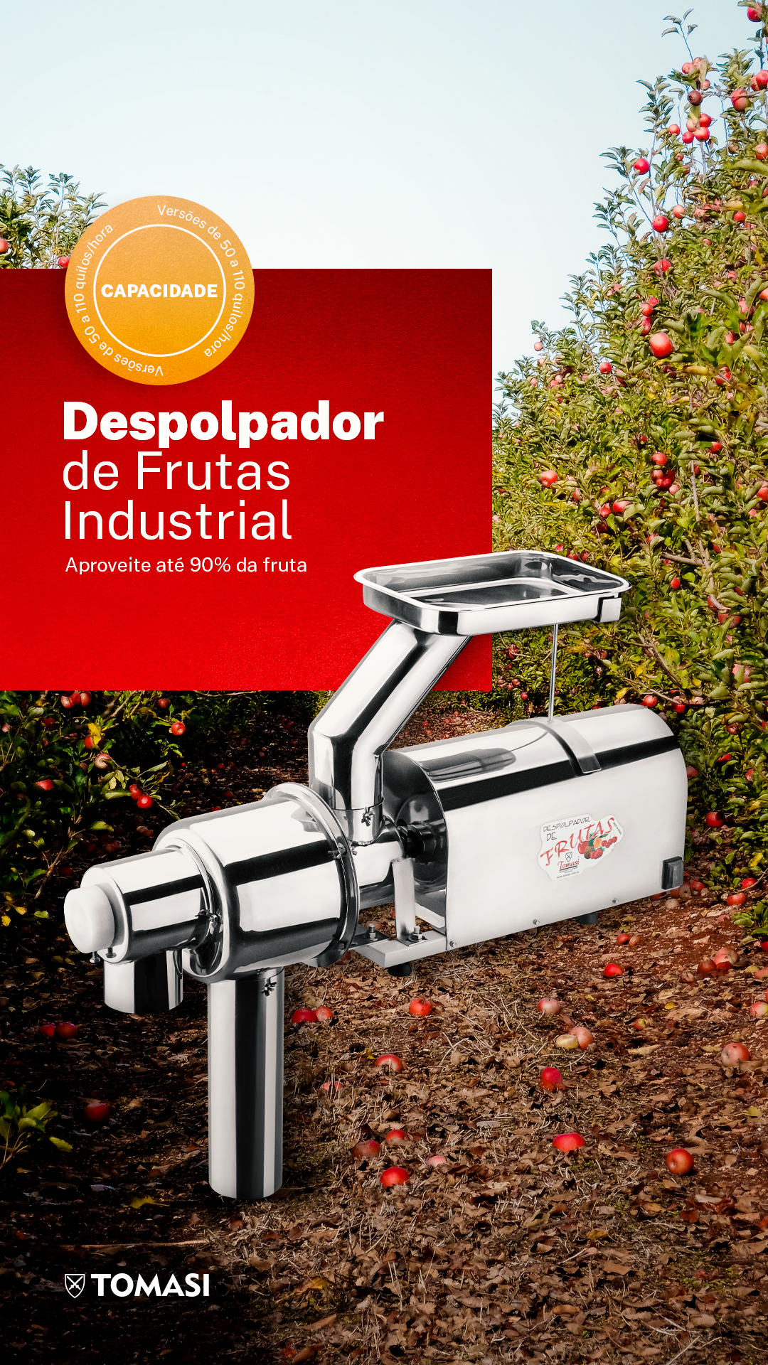 DESPOLPADOR DE FRUTAS story